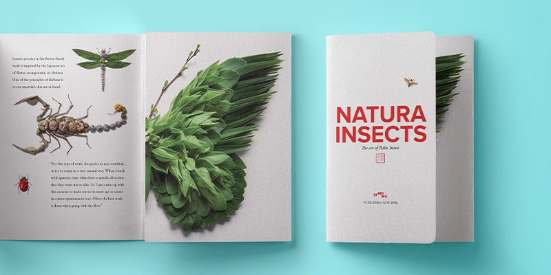 natura insects brochure